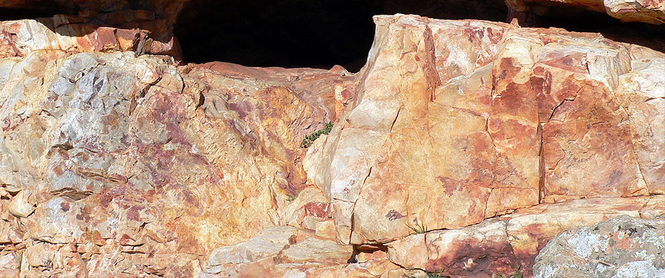 Pinturas rupestres