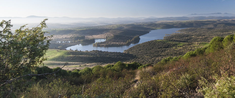 Puerto Revuelo