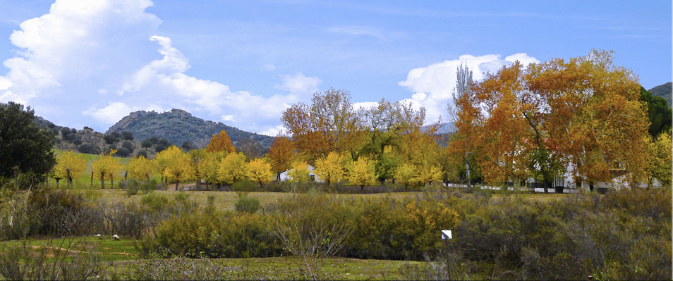 Molino de los Ferrera