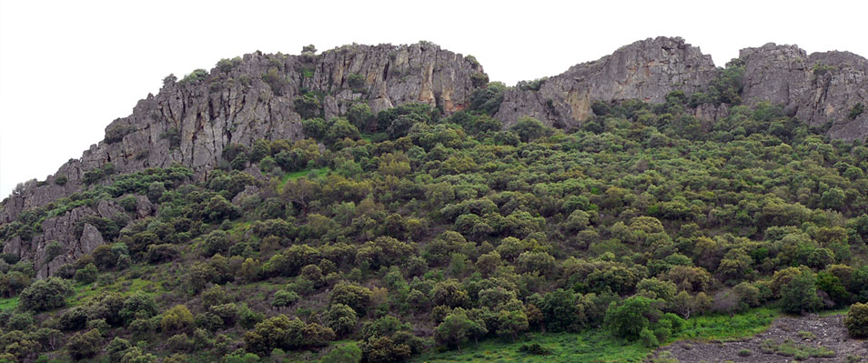 Cerros